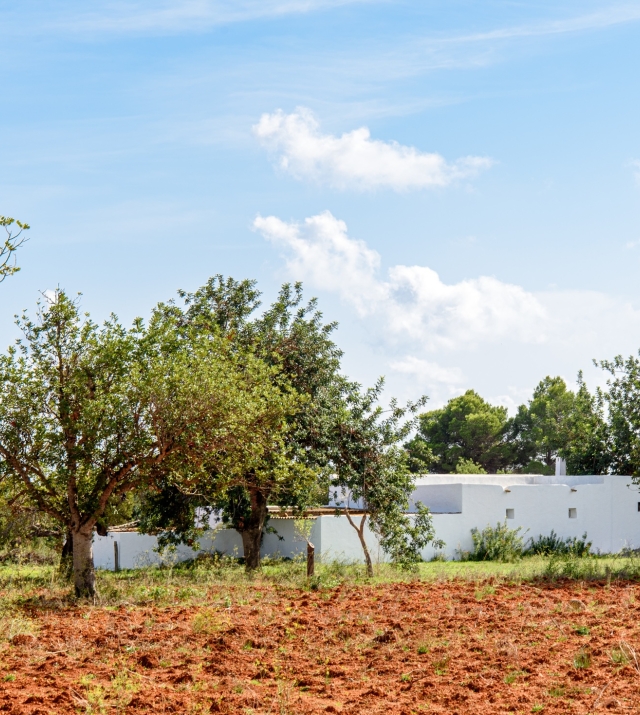 WEB RES-plotesnovells-2.jpg